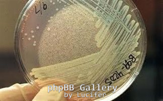 e-coli